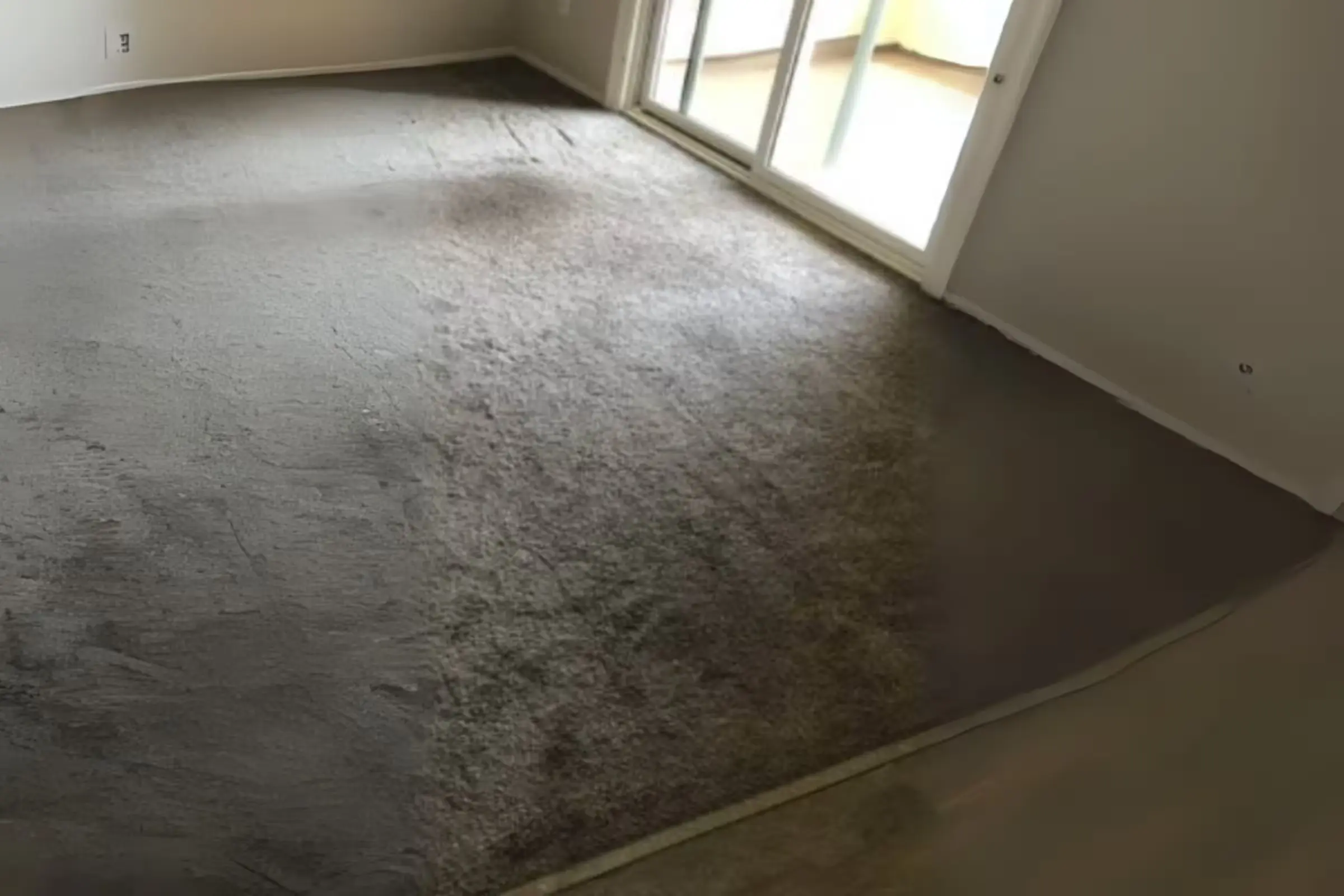 Before carpet cleaning